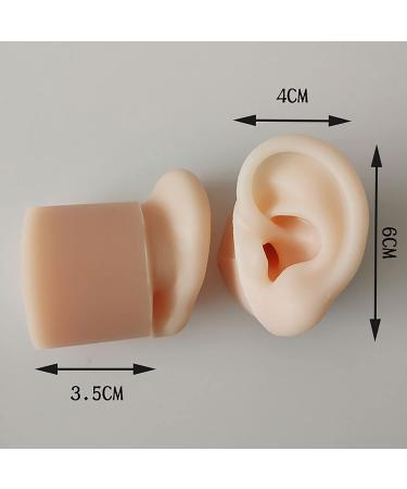 Soft Silicone Human Ear Simulation Model Learning Accessory for Ear Extraction of The Hearing Conduit Suitable for Visual Extraction Practice - Buy Online on GoSupps.com