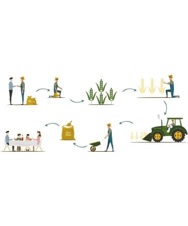 FRENTANA SRL FRENTANA Spaghetti n7 from durum wheat semolina Cappelli bronze drawn with slow drying Italian pasta artisanal processing pack of 12 x 500gr - Buy Online on GoSupps.com