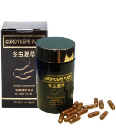Generic Dietary Supplement (1 Pack CORDYCEPS Plus) CORDYCEPS PLUS 1 Count (Pack of 1) - Buy Online on GoSupps.com