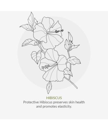 Green People Purify and Hydrate Cream Cleanser - 150ml | Natural Skincare for All Skin Types - International Shipping Available - Buy Online on GoSupps.com