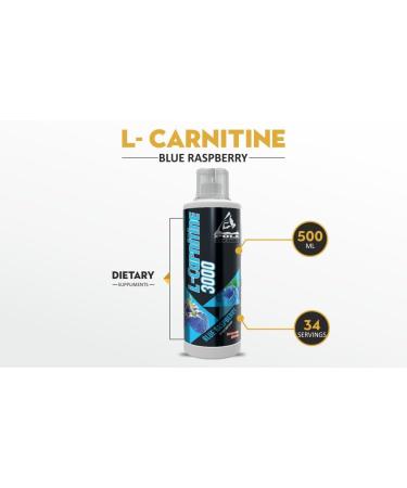 Buy L-Carnitine 3000 - 500ml (34 Servings) Green Apple Flavor - International Shipping Available - Buy Online on GoSupps.com
