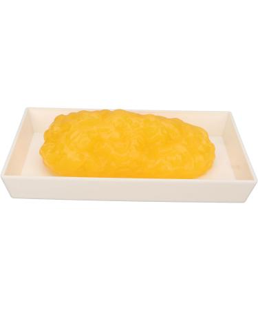 Jauarta Human Body Fat Replica 1lb Human Fatty Tissue Demonstration Model for Nutritionist Science Course - Buy Online on GoSupps.com