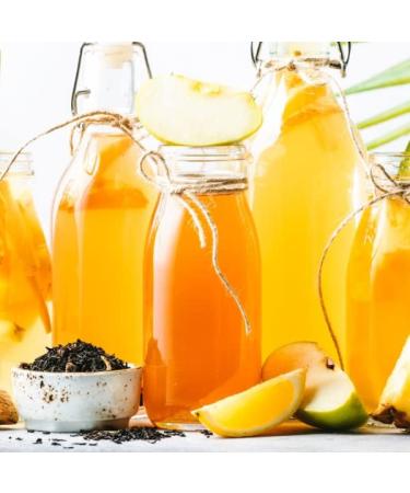 Organic Vegan Kombucha SCOBY - Fresh 1 Litre Fermented Tea Starter Culture - Buy Online on GoSupps.com
