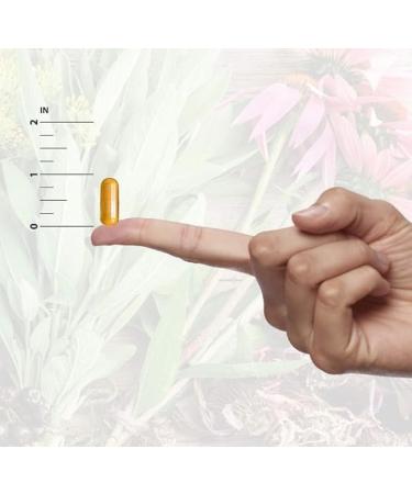 Natural's Answer Oregano Oil 150mg Gluten Free 90 Softgels - Buy Online on GoSupps.com