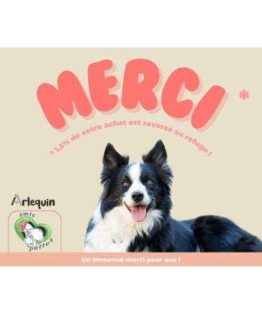 IRRESISTIBLE HARLEQUIN CEREAL-FREE DOG Kibble Angus Beef (65%) - Buy Online on GoSupps.com