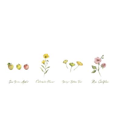 Joanna Vargas Eden Rejuvenating Pro Serum. Vegan Stem Cell Serum to Minimize Fine Lines Pigmentation and Signs of Aging. Reveal Radiant Youthful Skin(1oz) - Buy Online on GoSupps.com