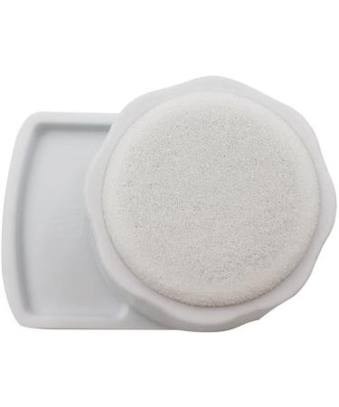 Dental Endo File Holder with Sponges Base Endo File Clean Stand Cleaning Foam File Dental Care Supplies for Dentist Clean - Buy Online on GoSupps.com