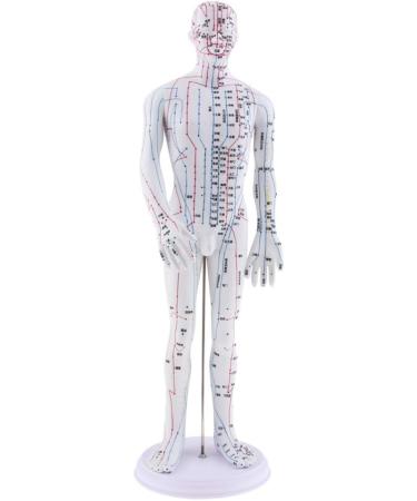 harayaa Human Body Point as described Male - Buy Online on GoSupps.com