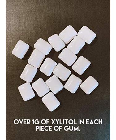 Xyloburst Xylitol Chewing Gum - Fresh Fruit Flavor, 100 Pieces (5.29 oz) - Buy Online on GoSupps.com