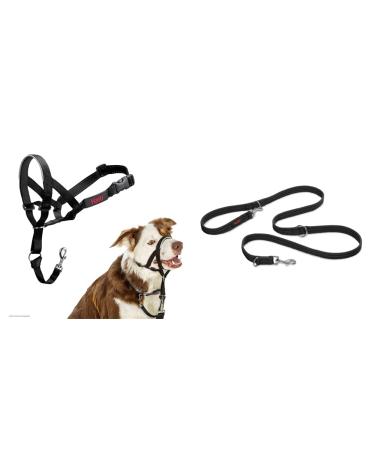 Company of Animals: Halti Headcollar & Double Ended Training Lead Pack suitable for Small Medium and Large dogs