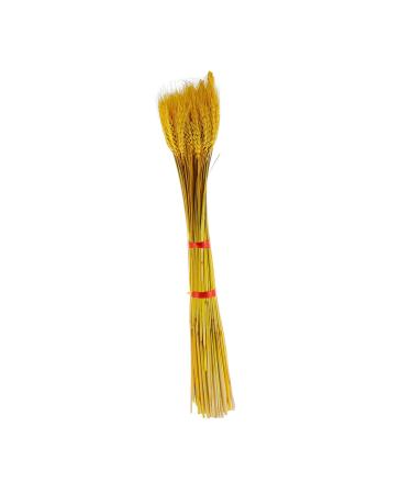 Zerodeko 100pcs Dried Wheat Ears Bouquet Decor Floral Arrangement Wheat Ear Desktop Wheat Ear Dried Flowers Bouquet Wheat Stalks Wedding Wheat Ear Flower Arrangement Dried Flowers. Barley Yellow 52X10CM