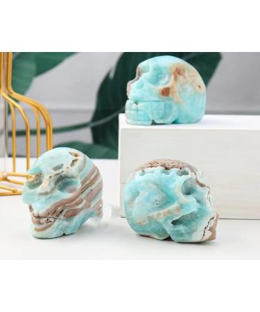 Heteropolar Caribbean Stone Skull Healing Crystal Quratz Hand Carved Human Skull Pocket Statue Figurine Decor Energy Reiki Gemstone Collectible Figurine (Heteropolar Caribbean Stone- Skull) - Buy Online on GoSupps.com