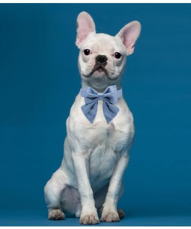Lionet Paws Dog Collar Fly - Comfortable Silk Collar with Removable Fly for Small Dogs (25-40cm) - Blue - Buy Online on GoSupps.com