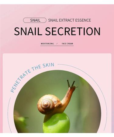 Snail Mucin 97% Daily Face Moisturizer Cream - High Potency Hydration | Korean Skincare for Glowing Skin - Buy Online on GoSupps.com