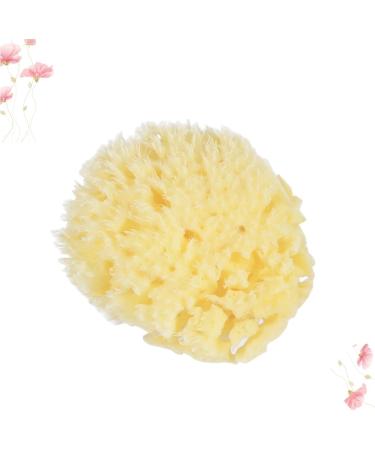 Angoily Natural Sea Sponges Soft Bath Sponges Body Puff Scrubber Used in Bath Shower Cleansing Exfoliating - Buy Online on GoSupps.com