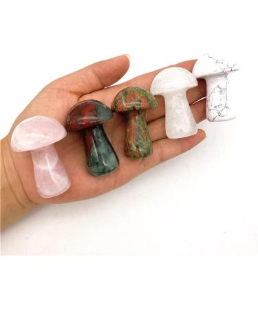 1-Pack Natural Large Green Pink Crystal Mushroom Polished Stones Beautiful Crystal Natural Luster (Color : Africa Blood Stone) - Buy Online on GoSupps.com