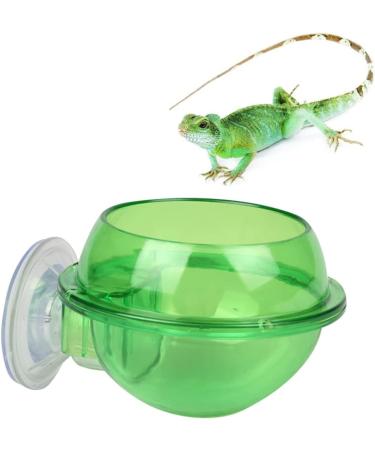 Mipcase 2pcs Tools Tortoise Water Dish Reptile Supplies Pet Stuff Reptile Feeder Sucker Turtle Pet Supplies - Buy Online on GoSupps.com