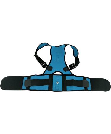 Waist Trainer Support Back Brace Posture Corrector for Women and Men Lumbar Shoulder Posture Support for Improve Posture Provide Back Pain Relief (Color : B Size : Large) (C X) - Buy Online on GoSupps.com