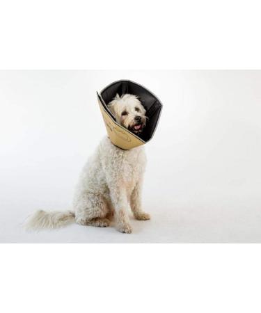 All Four Paws Comfy Cone Pet Collar - Skin-colored | Ultimate Comfort & Protection for Pets - Shop Internationally! - Buy Online on GoSupps.com