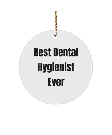 Funny Dental Hygienist Gifts from Best Dental Hygienist Ever Circle Ornament for Christmas Perfect for Friends Coworkers or Family