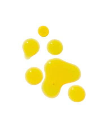 YINA Regenerate Botanical Serum with Reishi & Centella | Sustainable Cruelty-Free Clean Skincare - 0.5 oz (15 ml - Buy Online on GoSupps.com