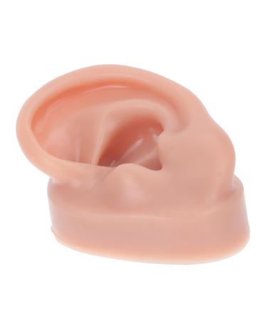 Healeved 1pc Human Ear Model Body Massage Tools Body Kit Ear Piercing Jewelry Artificial Ear Model Silicone Suture Ear Suture Skin Pad Simulation Ear Model Ear Display Model Ear Mold Body Coffee 6.5x3.5cm