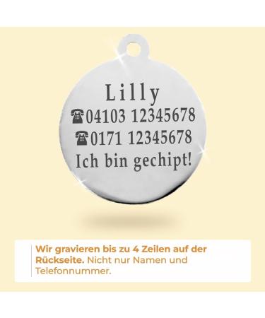 Personalized Ibera Gifts - Engraved Cat Collar for Medium to Large Cats | Glitter Gold Design - Buy Online on GoSupps.com