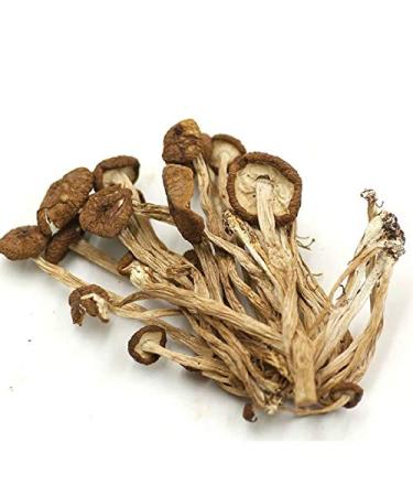 Shopper's Freedom 250g Velvet Edible Dry Tea Tree Mushrooms Pioppini "Cha Shu Gu" Japanese Chinese Cooking Soups Dehydrated Chinese Chashu Mushrooms Vegetarian