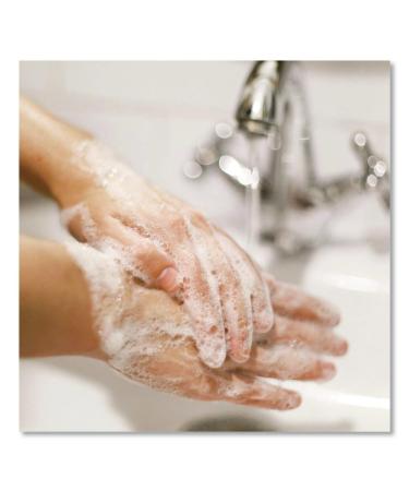 Dial Professional 84019 Gold Antimicrobial Soap Floral 1000mL Refill 8/Carton - Buy Online on GoSupps.com