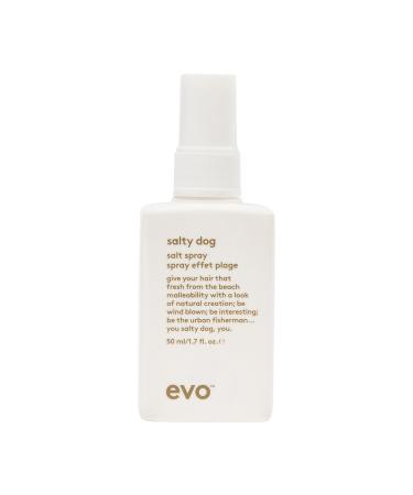 EVO Salty Dog Salt Spray - Hair Texture & Volume Spray - Beach Textured Hair Natural Matte Finish - Travel Size 50ml / 1.7fl.oz