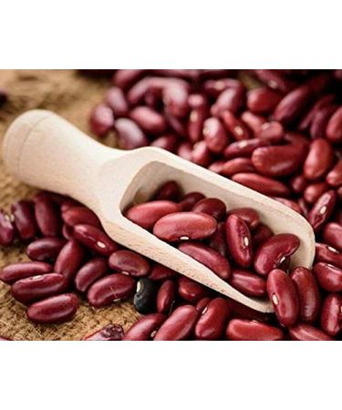 Organic Dark Red Kidney Beans 10 Pounds - Non-GMO, Kosher, Raw, Vegan | Sproutable Beans for Healthy Cooking - 1 Pack - Buy Online on GoSupps.com