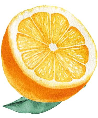 Weleda Bio Summer Boost Hand Cream - Limited Edition Natural Hand Care with Sesame Oil & Beeswax | Moisturizing Lotion with Citrus & Cardamom for Dry Hands (50ml) - Buy Online on GoSupps.com