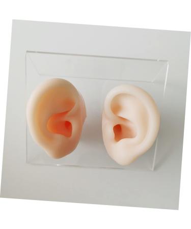 Operitacx Silicone Ear Model - Educational Ear Acupoint Learning Tool - Buy Online on GoSupps.com