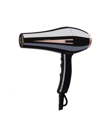 Hair Dryer Professional Ionic Hairdryer 2200W Salon Fast Blow Dryers 3 Heat 2 Speed Settings Low Noise Hair Dryer Powerful AC Motor with Hair Diffusers and 2 Nozzle for Home & Salon Small Gift