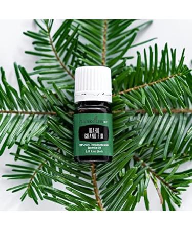 Young Living Idaho Grand Fir Essential Oil - 5 ml | Grounding Evergreen Aroma for Meditation & Well-Being | Skin Soothing & Deeper Breathing Support - Buy Online on GoSupps.com
