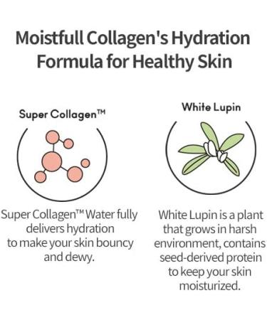 ETUDE HOUSE Moistfull Collagen Essence 80ml | Kbeauty | Moisturizing Long-Lasting Fast-Absorbing Essence for Sensitive Skin - Buy Online on GoSupps.com