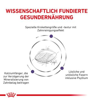 ROYAL CANIN Veterinary Diet Dry Cat Food Dental 3 Kg Dental 3 kg (Pack of 1) - Buy Online on GoSupps.com