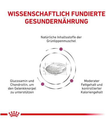 Royal Canin Veterinary Mobility Support | 2 kg | Complete Food for Adult Dogs | May Support Joint Health | Moderate Calorie Content | with Green-lipped Mussel - Buy Online on GoSupps.com