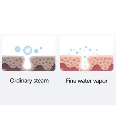 Facial Steamer Nano Ionic Face Steamer Deep Cleaning SPA Humidifier for Skin Moisturizing Cleansing Home Sauna SPA Face Humidifier Atomizer - Buy Online on GoSupps.com