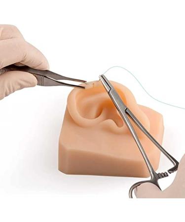 Life-Size Human Ear Silicone Model for Training and Education Display - Buy Online on GoSupps.com