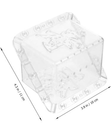 SUPVOX 2pcs Square Apple Molds Mushroom Plastic Fruit Square Shaping Square Model - Buy Online on GoSupps.com