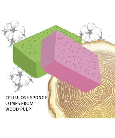 Eco-Friendly Baby Bottle Brush Set with 3 Cellulose Sponge Heads | Chemical-Free No Residue | Completely 100% Eco-Friendly for Sustainability - Buy Online on GoSupps.com