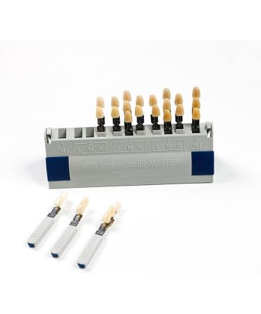 Dental Clinic 29 Colors Teeth Whitening Shade Guide 3D Shades Teeth Bleach Tooth Shade Guide - Buy Online on GoSupps.com