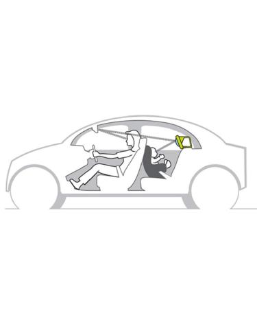 Taf Toys Koala In-Car Play Center | Parent's Travel Companion for Baby's Entertainment and Safety On-The-Go - Buy Online on GoSupps.com