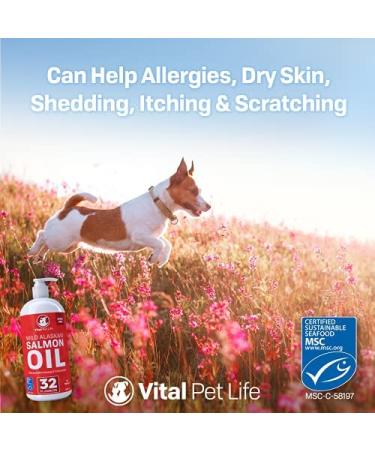 Salmon Oil for Dogs & Cats 32oz - Omega 3 EPA DHA Liquid Supplement | Healthy Skin, Coat, Joint & Bone Health | Natural Allergy & Immune Support - Buy Online on GoSupps.com