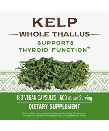 Nature's Way Kelp 180 Capsules - Pack of 2 | Rich in Iodine and Essential Minerals - Buy Online on GoSupps.com