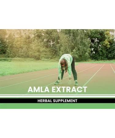 Pure Amla Extract Capsules - 365 Count | No Magnesium or Rice Fillers | Lab Verified | Pack of 1 - Buy Online on GoSupps.com