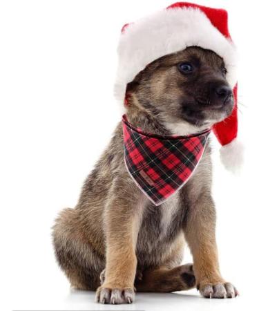 Lionet Paws Christmas Dog Bandana - Triangular Scarf for Small Medium & Large Dogs | Festive Checked Design - Buy Online on GoSupps.com