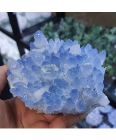 Natural Crystal Rough Home Decoration 1pcs 300-700g Rare Beautiful Blue Ghost Phantom Quartz Crystal Cluster Specimen Stones (Size : 400-500g) - Buy Online on GoSupps.com