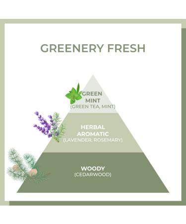 AMOS Green Tea Volume Mist 4.7 fl. oz (Renewal) | Bamboo Extract Styling Mist for Hair Loss and Volume | Korean Salon Brand - Buy Online on GoSupps.com